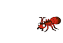 Animated Red Ant