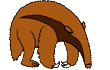 Animated Anteater