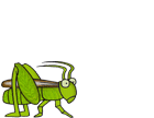 Animated Grasshopper