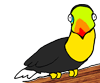 Animated Toucan